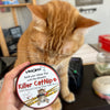 Organic Catnip Silver Vine Blend MrsCopyCat