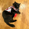 Bloody Pet Shirt MrsCopyCat