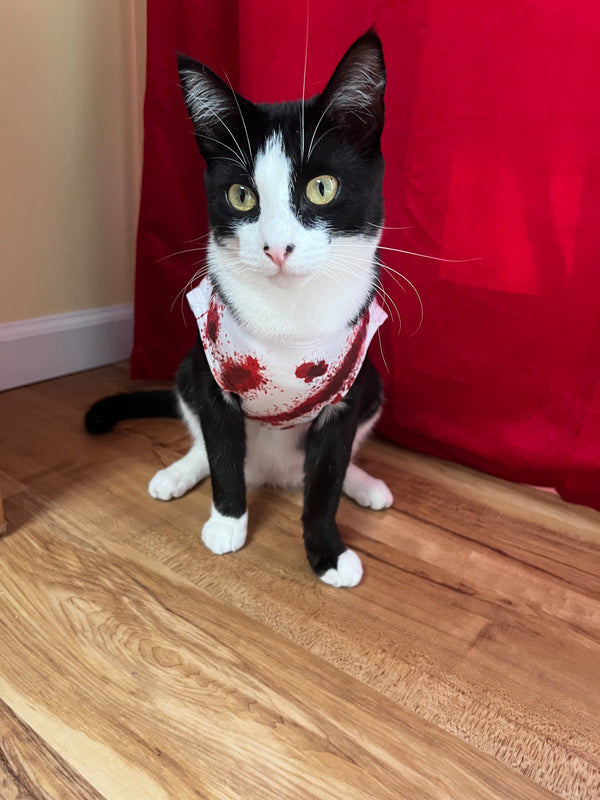 Bloody Pet Shirt MrsCopyCat